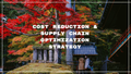 Cost Reduction & Supply Chain Optimization Strategy (China Sourcing)